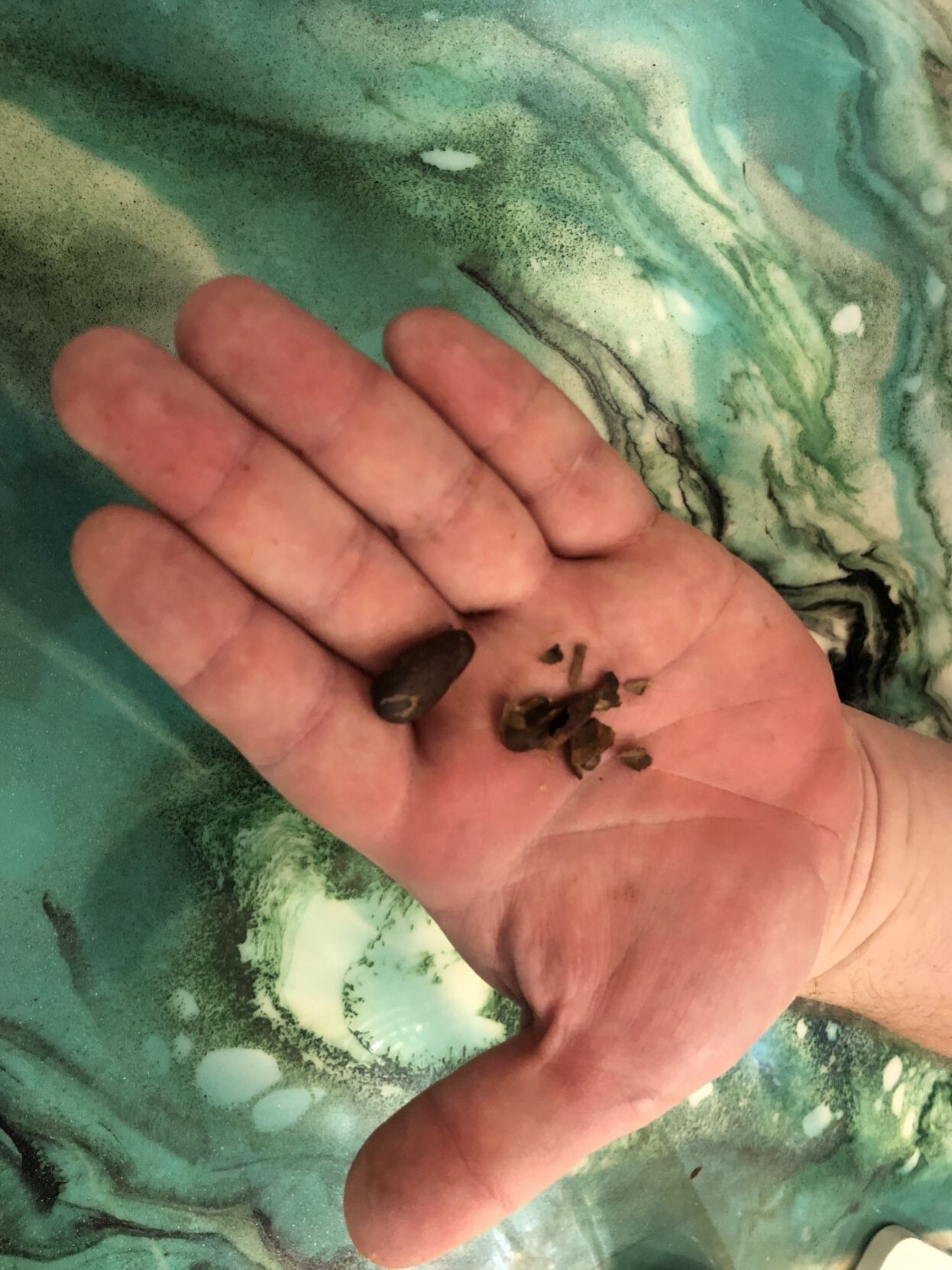 Cacao bean paper husk